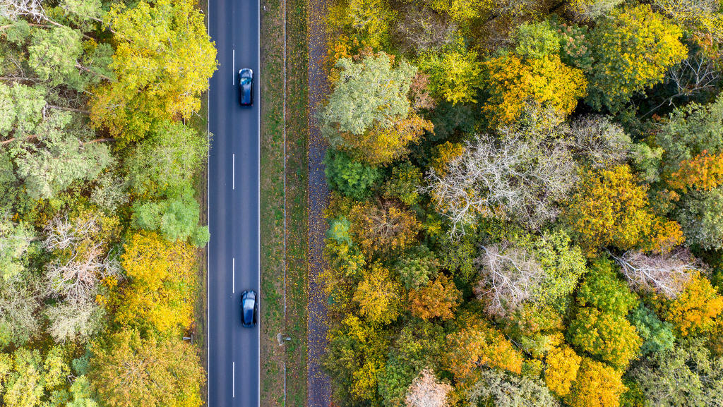 ARCHIV - 17.10.2019, Brandenburg, Nuthetal: Zwei Autos fahren über die Landstraße L79 zwischen herbstlich gefärbten Bäumen (Luftaufnahme mit einer Drohne). (Zu dpa «CO2-Schlucker: Sind Bäume Klima-Retter?») Foto: Monika Skolimowska/dpa-Zentralbild/dp