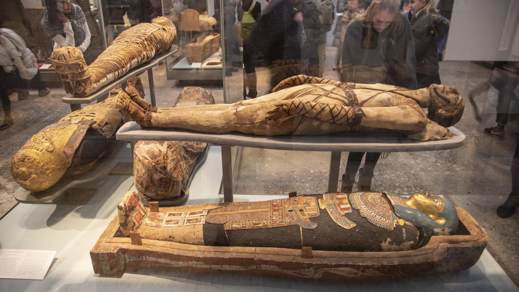 Im British Museum werden einige Mumien ausgestellt.