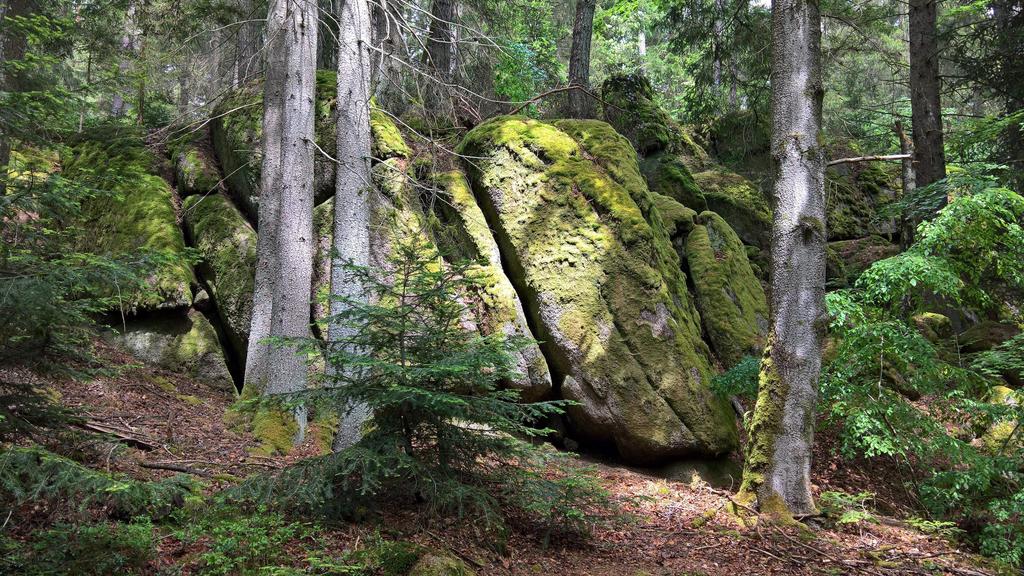 Creative Highlights World Das Otterbachtal gehoert zu Altenthann, einer Gemeinde im Oberpfaelzer Landkreis Regensburg, im Falkensteiner Vorwald bzw vorderer Bayerischer Wald, in der Naehe von Donaustauf und Sulzbach Landkreis Regensburg an der Donau.