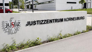 Die Staatsanwaltschaft Korneuburg hat einen Haftbefehl gegen den Psychiater erlassen.