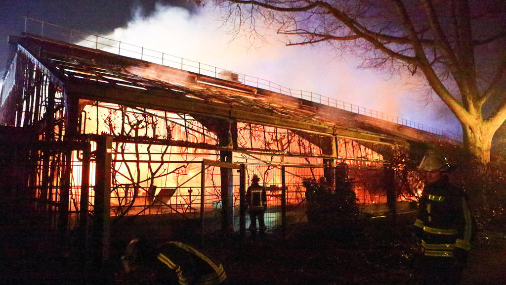 ARCHIV - 01.01.2020, Nordrhein-Westfalen, Krefeld: Feuerwehrleute stehen nach Löscharbeiten vor dem Affenhaus im Krefelder Zoo. Nach dem verheerenden Brand zu Jahresbeginn stellen in Krefeld Zoo und Stadt am 04.06.2020 einen Entwurf für das geplante