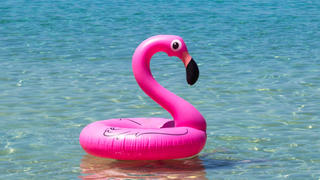 In einem Flamingo-Boot wie diesem überquerte ein Mann den Rhein. (Symboldbild)