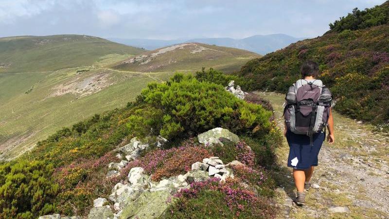 Camino Primitivo