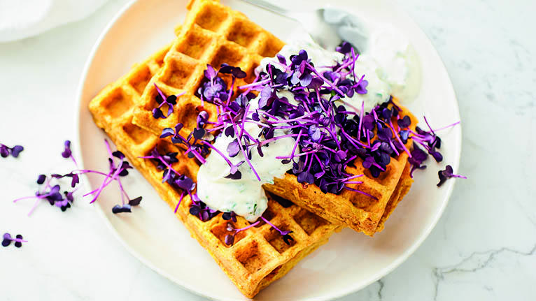 Kürbiswaffeln mit Schnittlauchquark aus dem Kochbuch von Cathy Hummels. Foto: © Coco Lang
