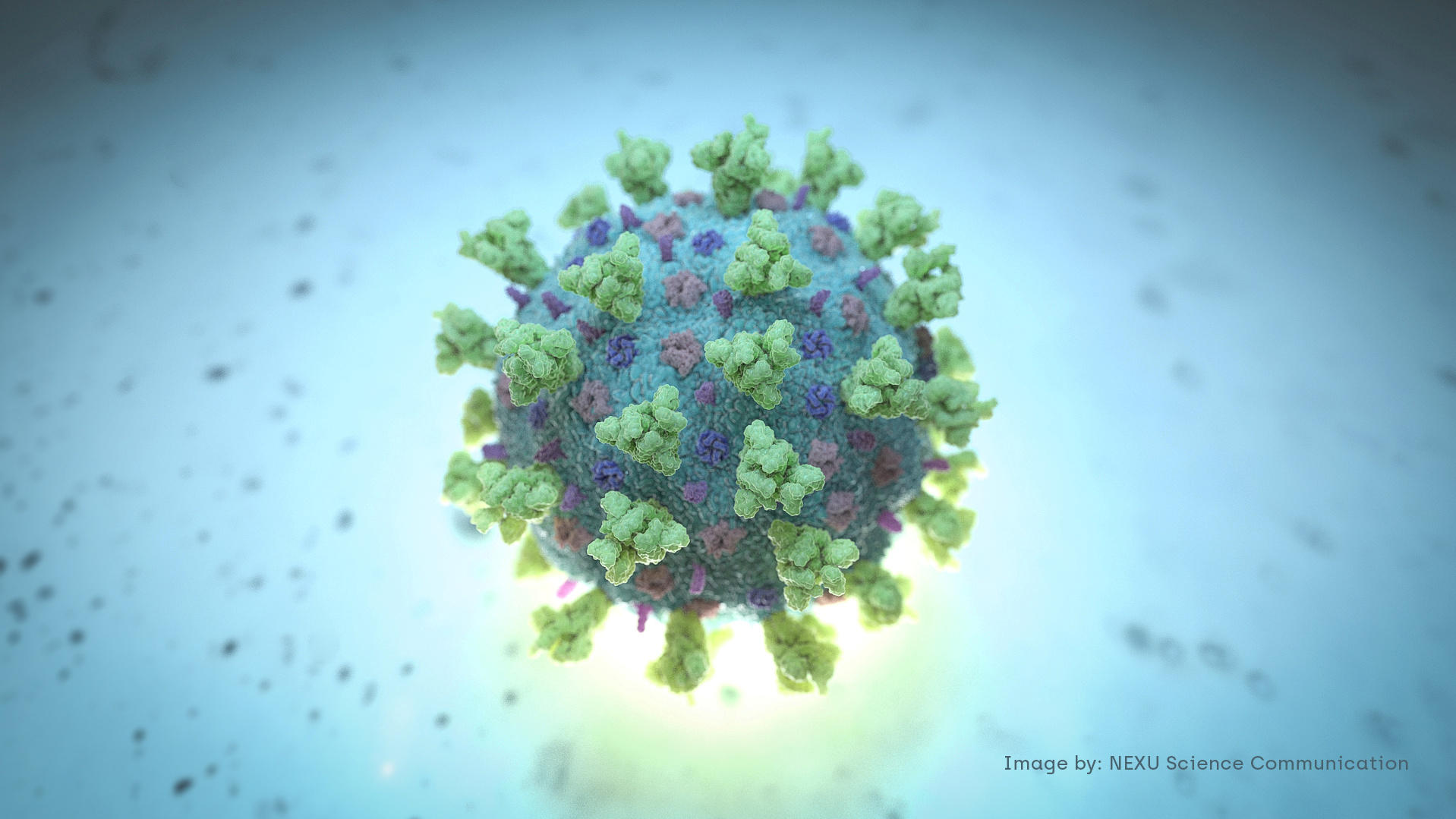 Das Coronavirus hält seit seiner Entdeckung die Welt in Atem. China soll der WHO anfangs verschwiegen haben, dass es Infektionen gab.  
