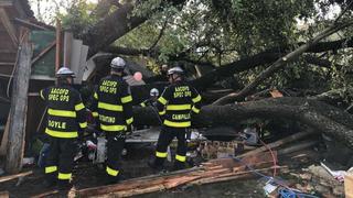 In Pasadena stürzte ein Baum auf ein Gebäude und verletzte mehr als 20 Menschen