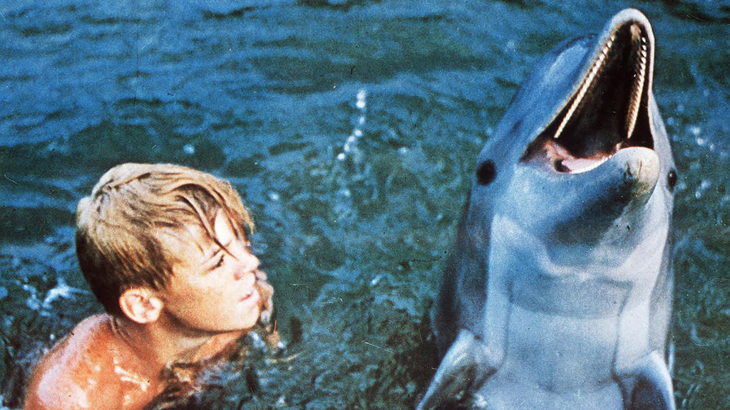 Poter Ricks ist Aufseher des "Coral Kay Parks" an der Küste Floridas. Als Witwer kümmert er sich allein um seine beiden söhne Sandy und Bud. Die beiden verbringen jede freie Minute mit Flipper, einem dressierten Delphin. Foto: Sandy (LUKE HALPIN) und