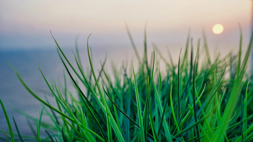 Bokeh: Sonnenuntergang