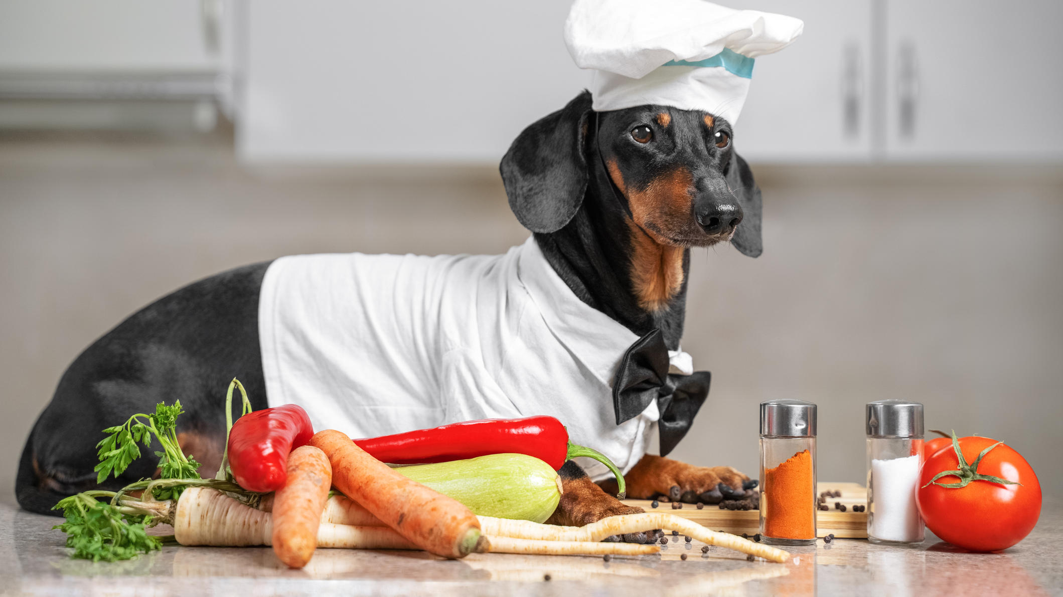 Hund in der Küche: Dackel als Koch verkleidet liegt neben Gemüse