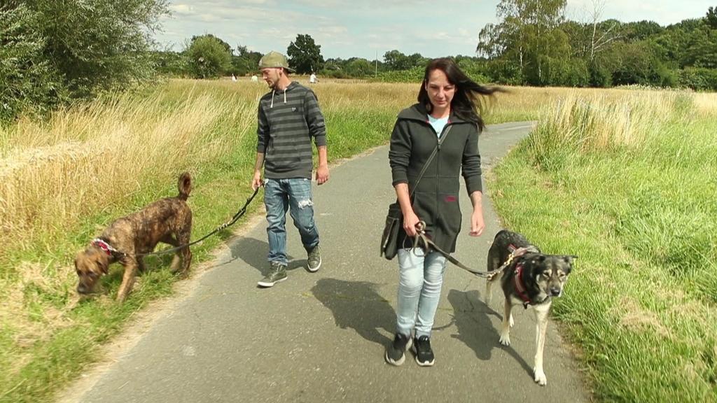 Nina B. geht mit ihrem Freund und ihren Hunden spazieren