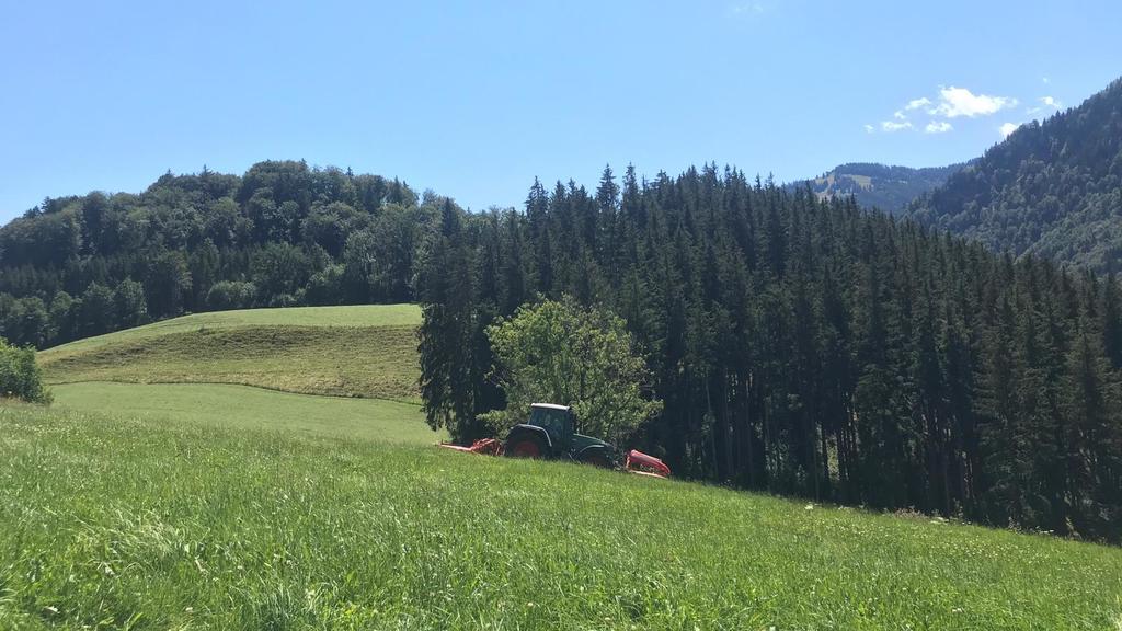 Mäh-Unfall im Allgäu