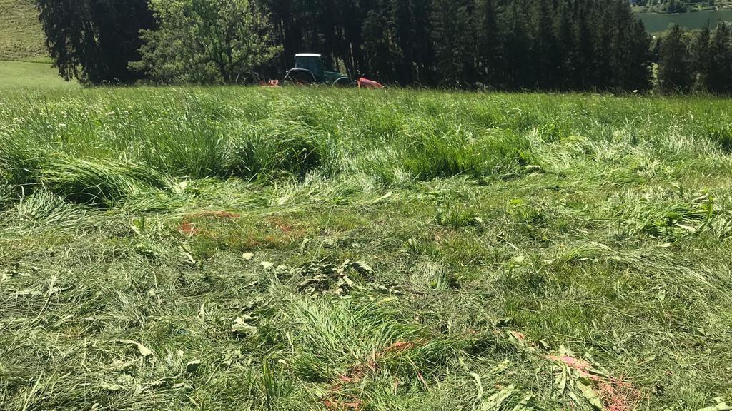17-Jährige von Mäh-Traktor überrollt
