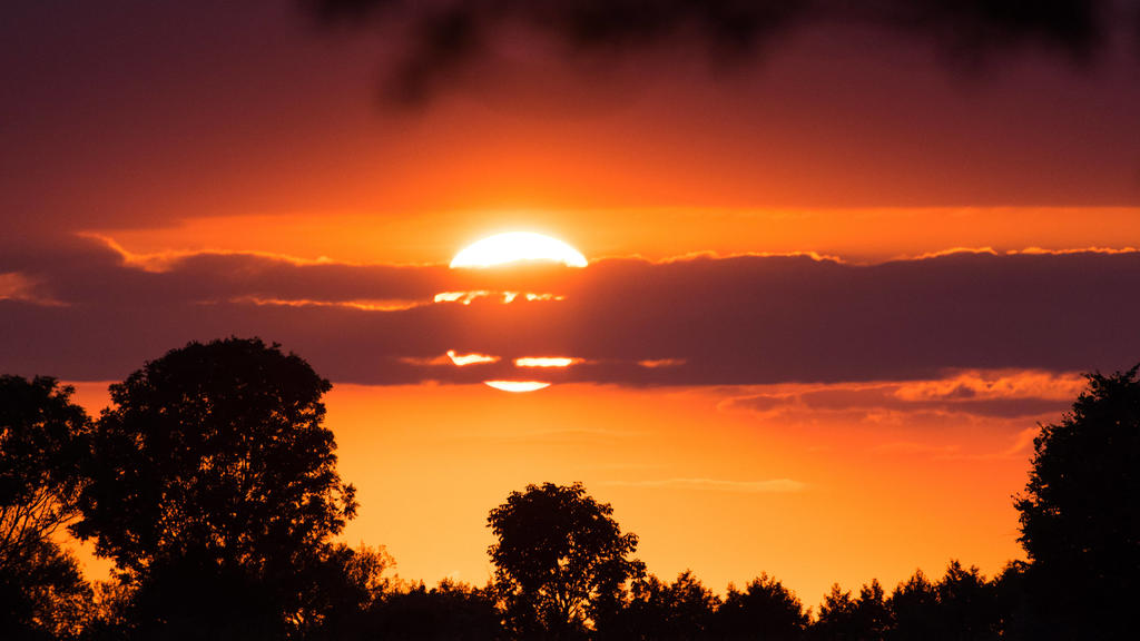 Brandenburg, Sonnenuntergang hinter Bäumen Deutschland, Brandenburg - 28.07.2020: Im Bild ist der Sonnenuntergang von einem Feld in Brandenburg aus zu sehen. Brandenburg Deutschland *** Brandenburg, sunset behind trees Germany, Brandenburg 28 07 202
