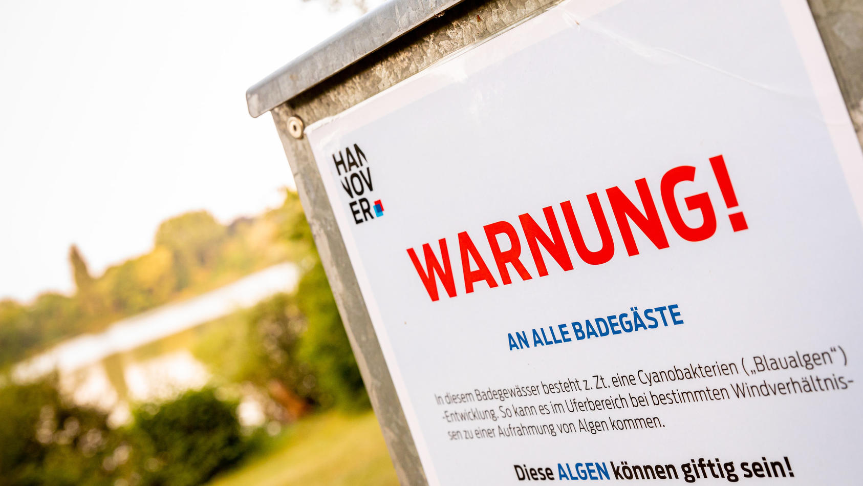 11.08.2020, Niedersachsen, Hannover: Ein Hinweisschild warnt Badegäste vor Blaualgen im Sieben-Meter-Teich im Stadtteil Ricklingen. Foto: Moritz Frankenberg/dpa +++ dpa-Bildfunk +++
