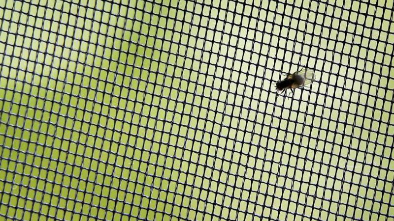 Brummer müssen draußen bleiben: Insektenschutzgitter sind ein gutes Mittel gegen Fliegen und andere Nervensägen. Foto: Karl-Josef Hildenbrand/dpa-tmn