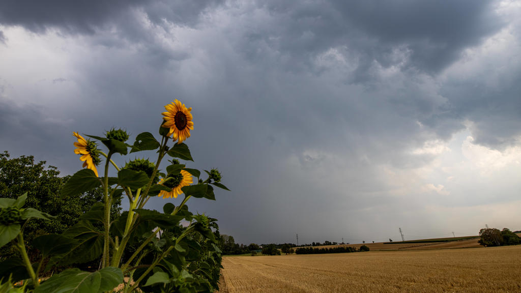 Fenster auf bei Gewitter? Alle UnwetterMythen im Check