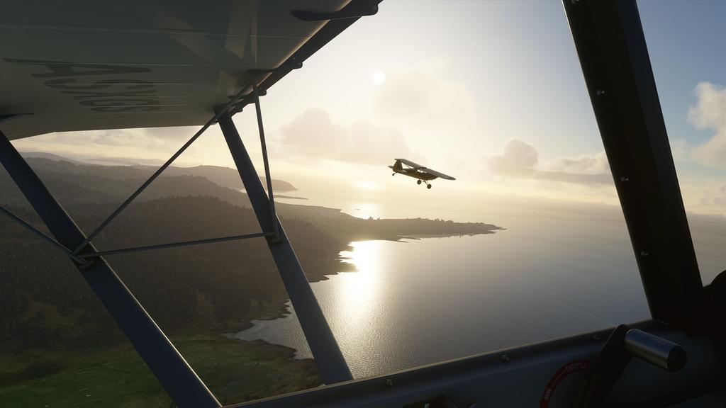 MS Flight Simulator