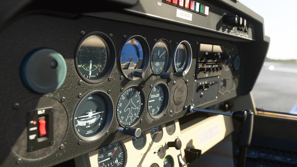 MS Flight Simulator 2020