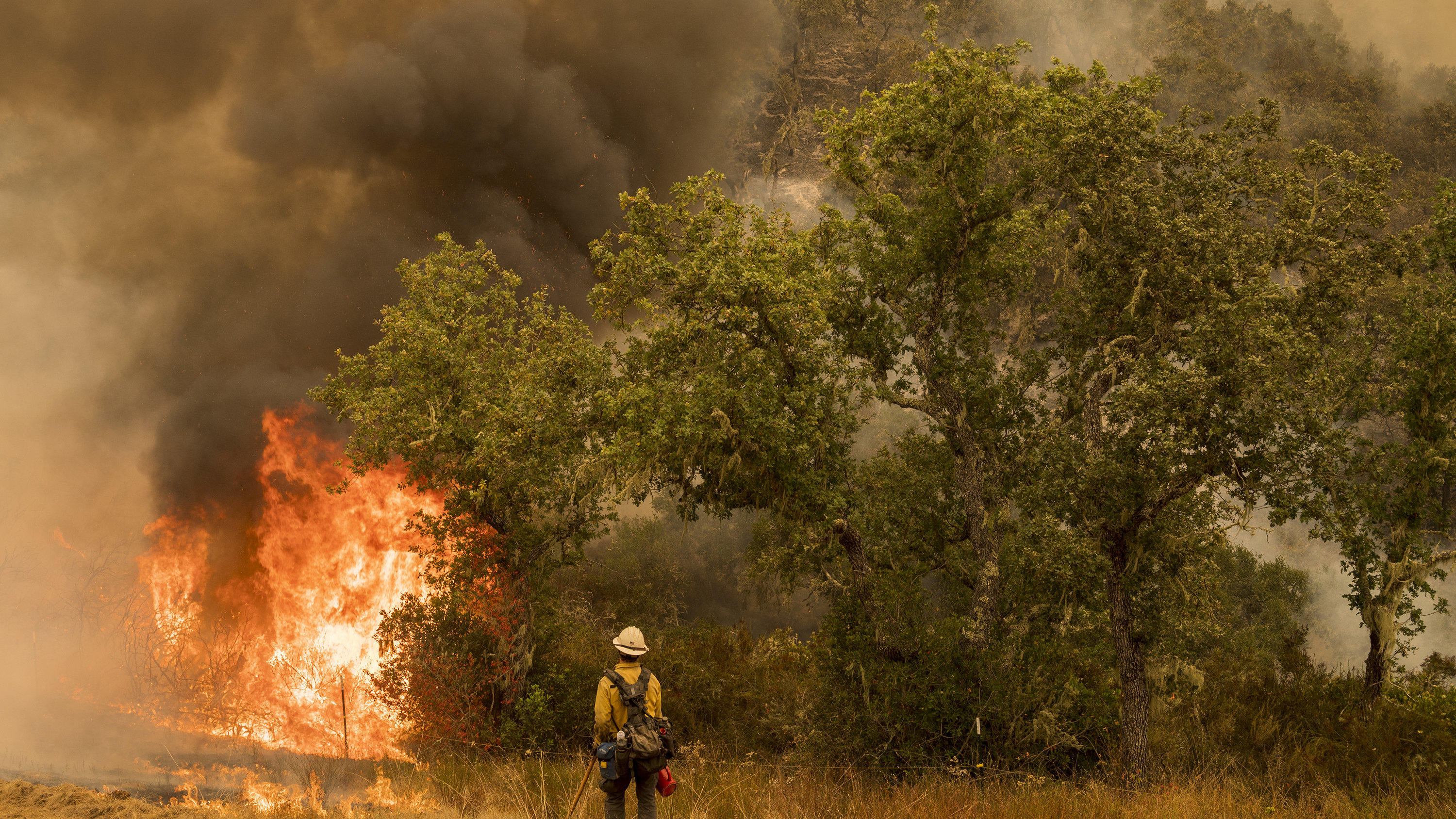19.08.2020, USA, Carmel Valley: Ein Feuerwehrmann beobachtet einen Brand. Mehr als zwei Dutzend Waldbrände lodern im US-Bundesstaat Kalifornien. Waldbrände in Kalifornien haben Tausende Menschen aus ihren Häusern getrieben. Foto: Nic Coury/AP/dpa +++