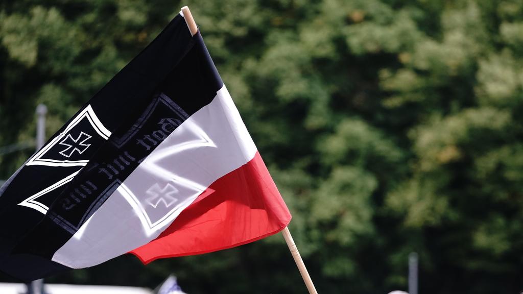 Corona-Demo vor dem Reichstag: Wofür stehen die Flaggen ...