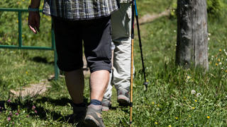 ARCHIV - 11.06.2017, Baden-Württemberg, Schönau: Wanderer gehen am Belchen im Schwarzwald auf einem Wanderweg. Der Weg hat sich bei einer Wahl zur schönsten Tagestour für Wanderer in diesem Jahr durchgesetzt und gewonnen.     (zu dpa «Leser stimmen ab: Baden-Badens Panoramaweg ist schönster Wanderweg») Foto: picture alliance / Patrick Seeger/dpa +++ dpa-Bildfunk +++