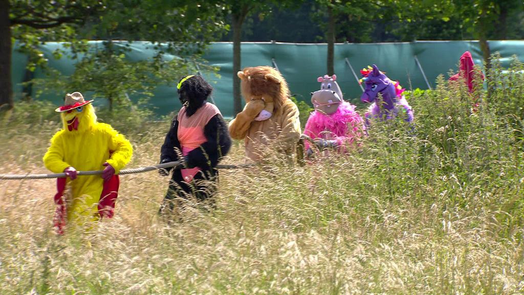 Die Herren der Schöpfung treten zum Sommerhaus-Spiel "Tierisch blind" an.