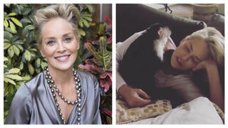 Sharon Stone wird von einem Affen entlaust.