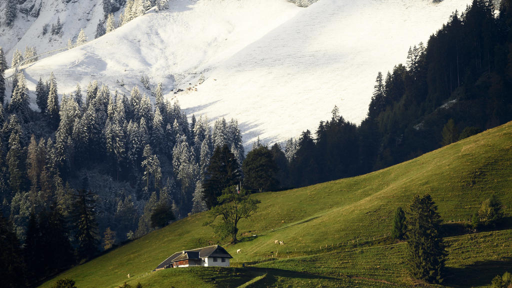 Schnee in der Schweiz: Auf den Hängen des Berges Moleson ist Neuschnee zu sehen.