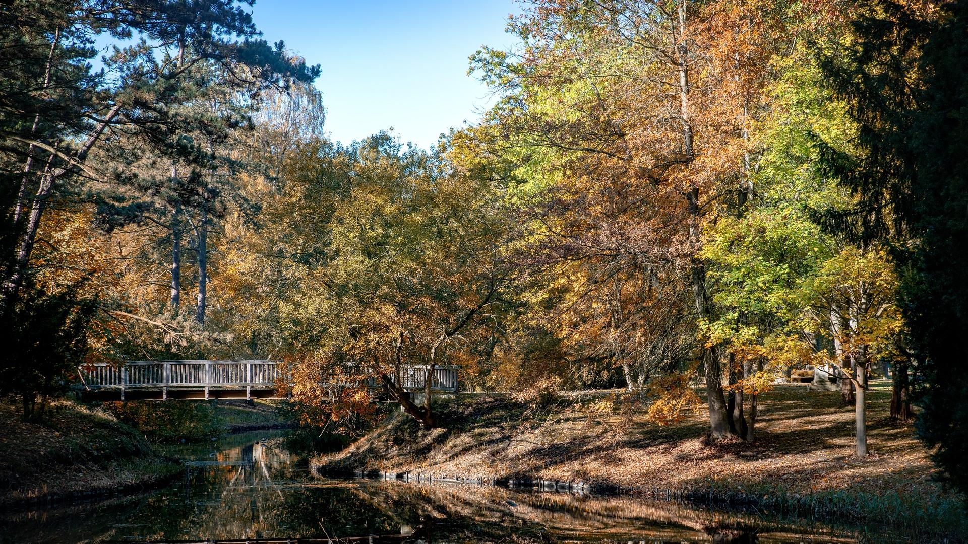 Bürgerpark in Bremen