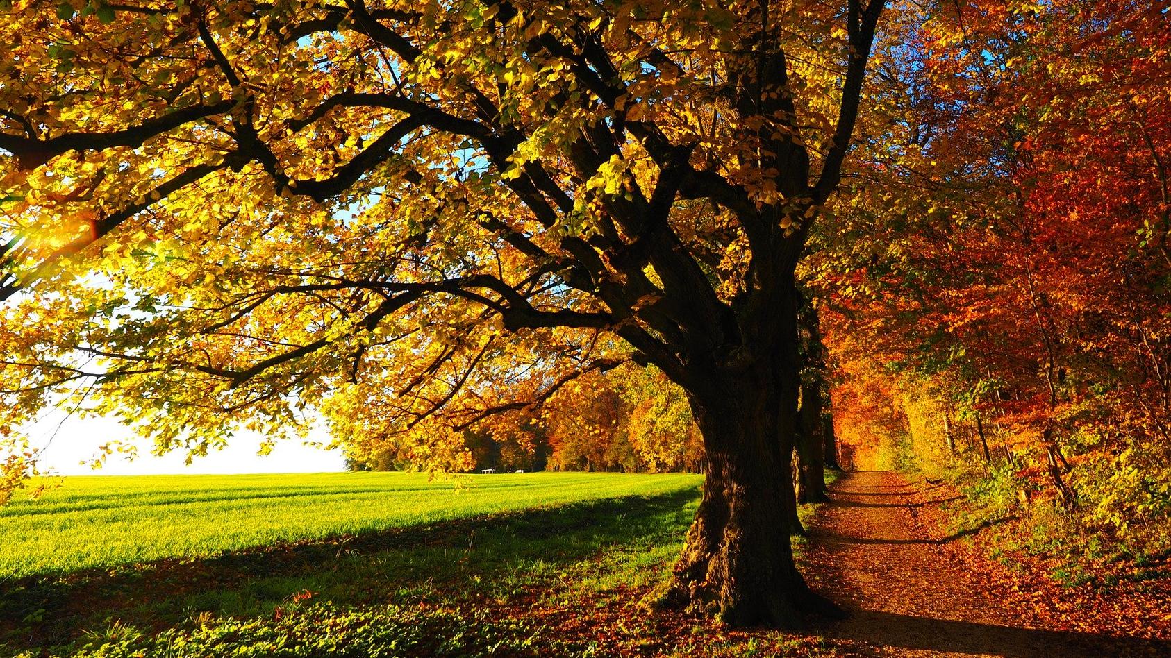 Herbstspaziergang