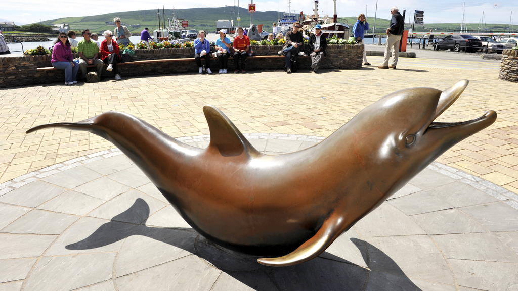 Vor 37 Jahren kam der Delfin in die Bucht der kleinen irischen Hafenstadt Dingle.