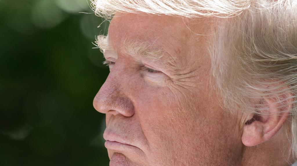 Die Ähnlichkeit mit US-Präsident Donald Trump ist verblüffend.