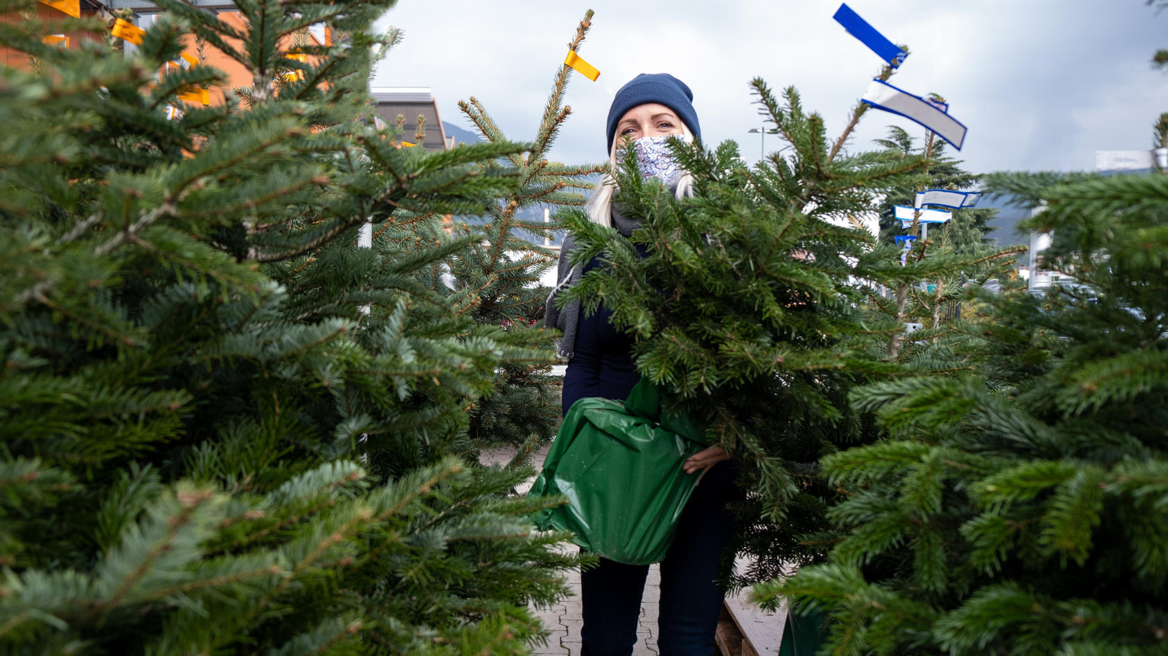 Frau mit Maske kauft Weihnachtsbaum
