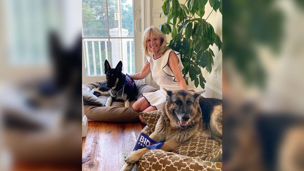 Mit dem Einzug der Familie von Joe Biden werden auch die beiden Schäferhunde "Champ" und "Major" die neuen Bewohner des Weißen Hauses.
