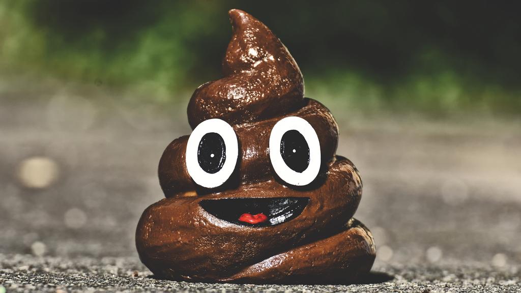 Shit-Emoji