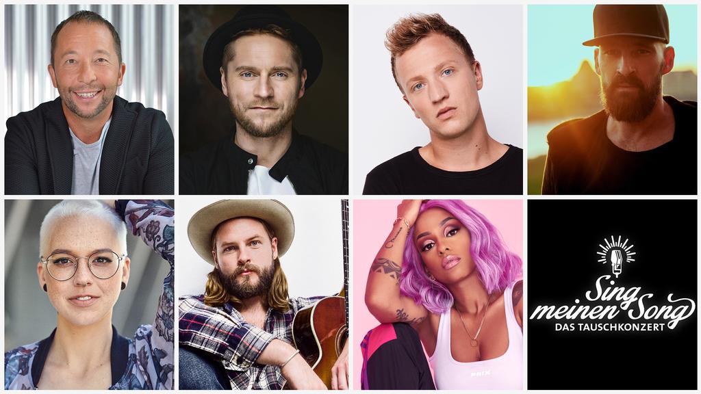 Das sind die Stars von Sing meinen Song 2021.