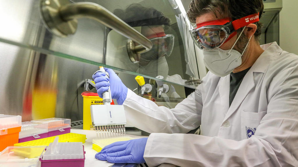 November 16, 2020: November 16, 2020 Malaga The University of Malaga offers to Health a laboratory that can make 400 PCR daily. The laboratory is located in the Bioinnovation building of the Technological Park of Andalusia. Its activity could start a