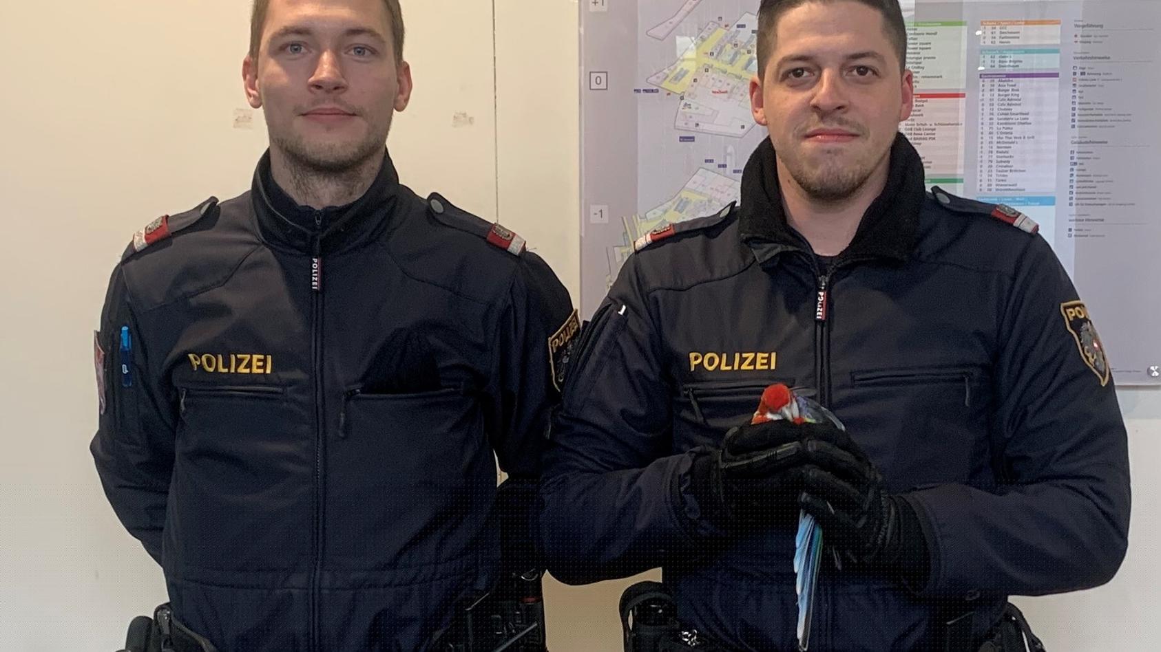 Zwei Polizisten retteten  einen Papagei am Wiener Hauptbahnhof