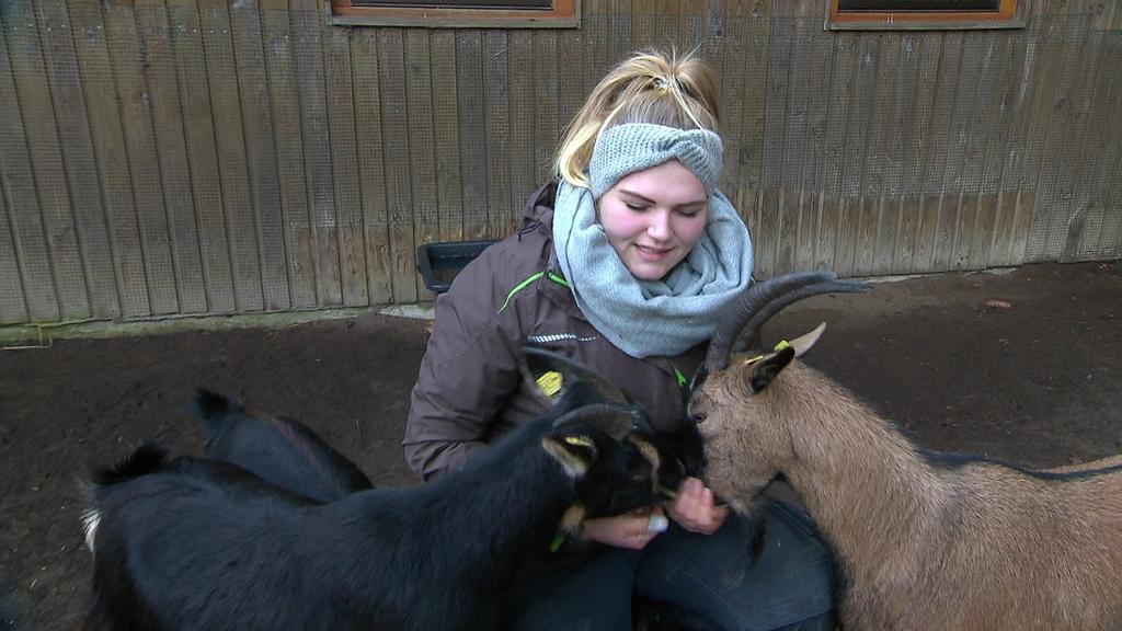 Wildpark Eekholt eröffnet wieder.
