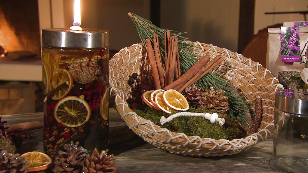 Die Zutaten für die Waldlampe