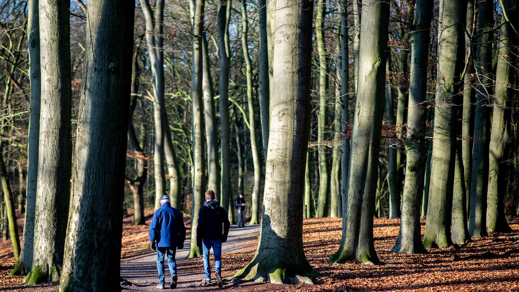 19.12.2020, Niedersachsen, Dötlingen: Spaziergänger gehen auf dem Huntepadd nahe des Ortes durch einen Wald. Foto: Hauke-Christian Dittrich/dpa +++ dpa-Bildfunk +++