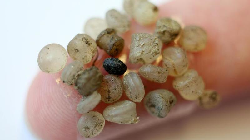 Mikroplastik-Teilchen aus dem Meer kleben an einem Finger