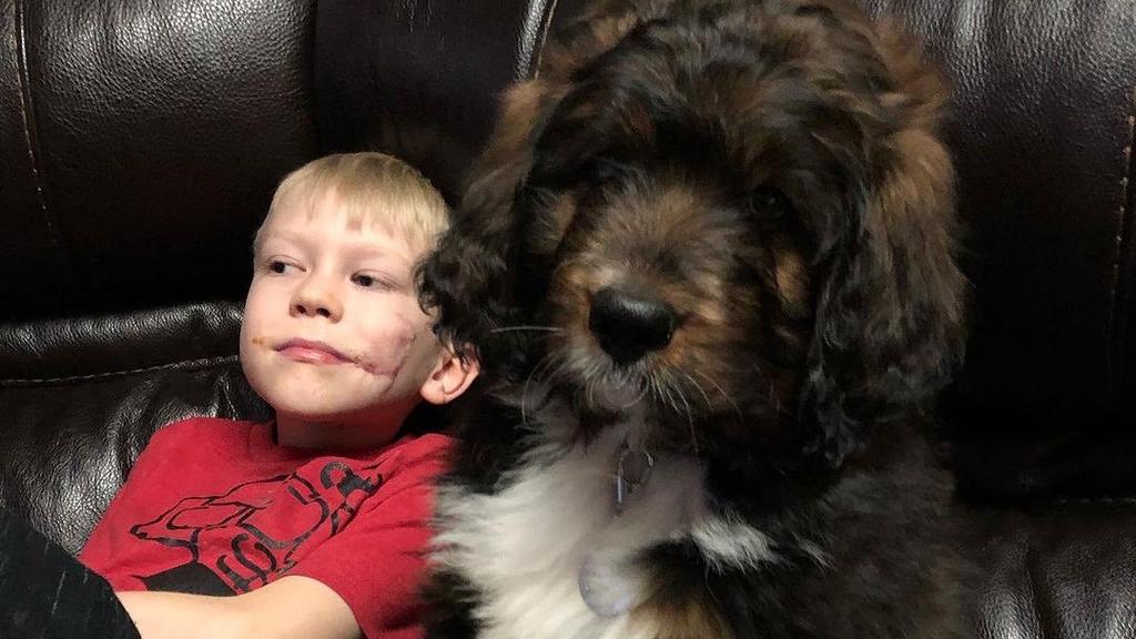 Bridger mit einem Hund auf der Couch