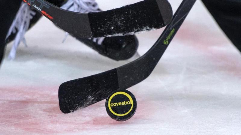 Mehrere Eishockeyspieler kämpfen um den Puck. Foto: Bernd Thissen/dpa/Symbolbild