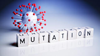  Buchstabenwürfel bilden das Wort Mutation neben einem Coronavirus-Modell *** Letter cubes form the word mutation next to a coronavirus model