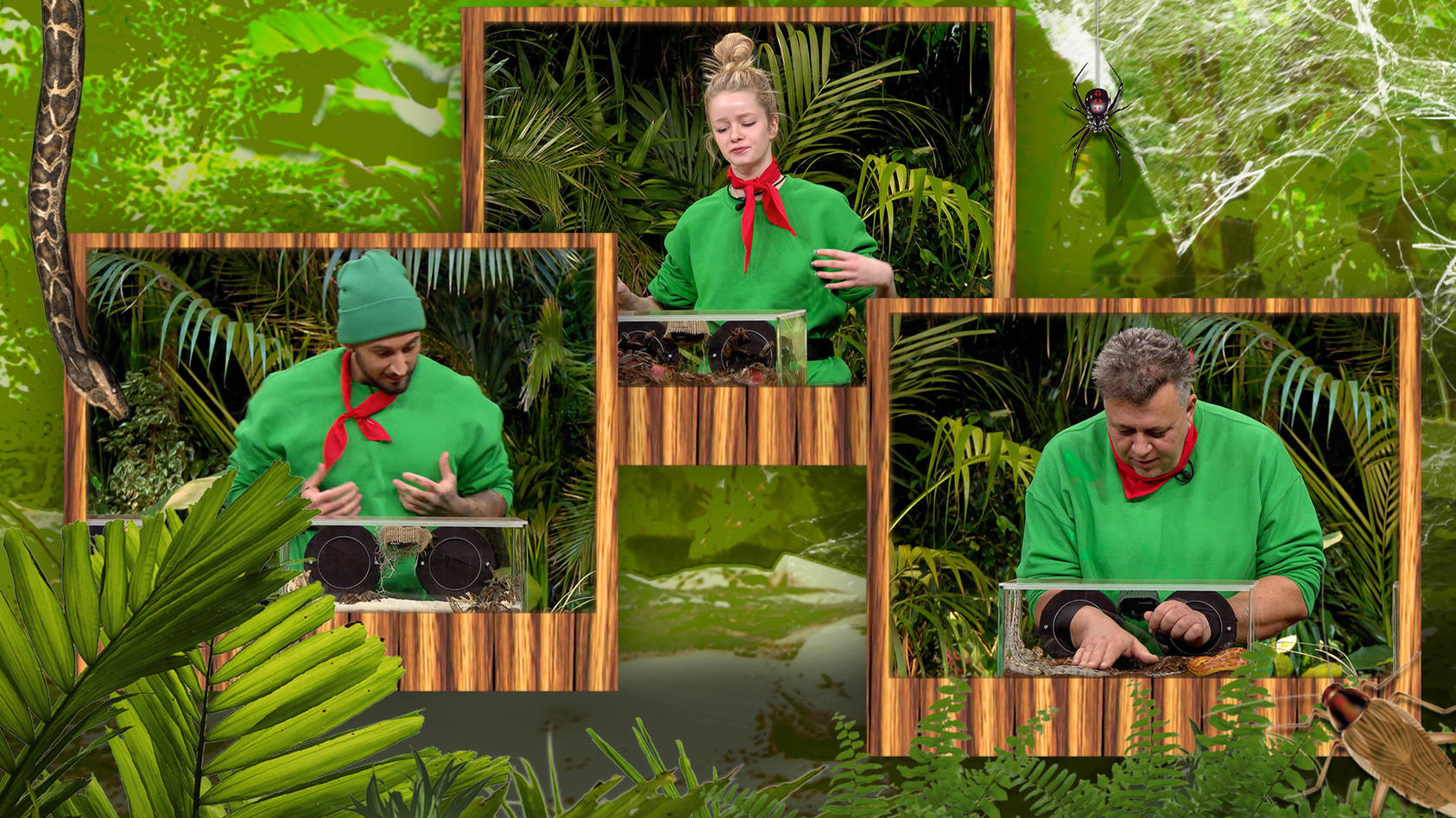 Dschungelshow: Mike Heiter, Zoe Saip und Frank Fussbroich bei ihrer zweiten Prüfung