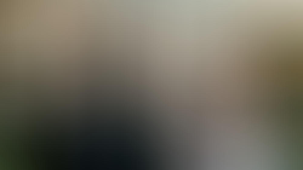 Steht die zweite Staffel des Netflix-Hits "Bridgerton" auf der Kippe?