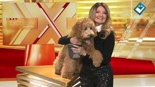 Frauke Ludowig und Hund Cooper zusammen bei "RTL Exclusiv"