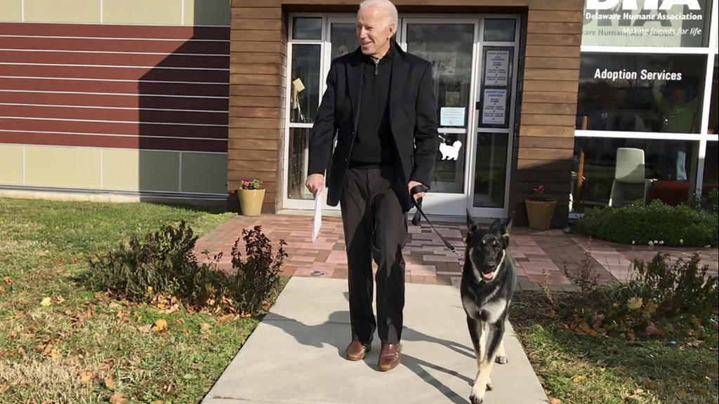 17.11.2018, USA, Wilmington: Joe Biden, damaliger Vizepräsident der USA, und sein neu adoptierter Deutscher Schäferhund Major verlassen das Tierheim DHA. Mit «Major» könnte dem Portal «Buzzfeed» zufolge sogar erstmals ein Hund aus einem Tierheim ins