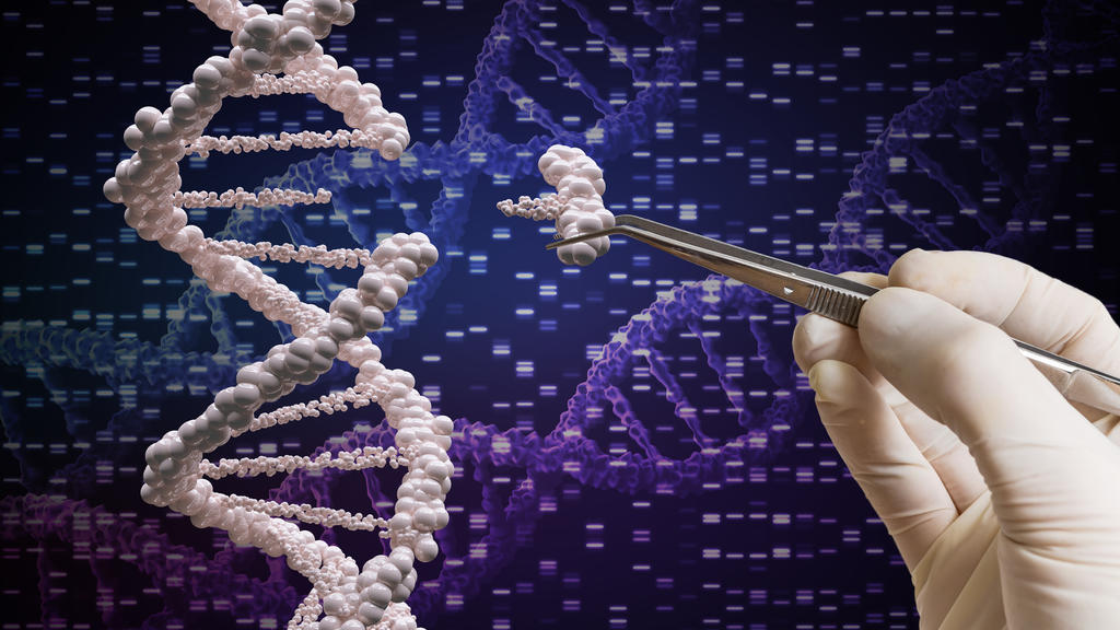 Mithilfe der Genschere Crispr/Cas9 können Gene manipuliert werden.